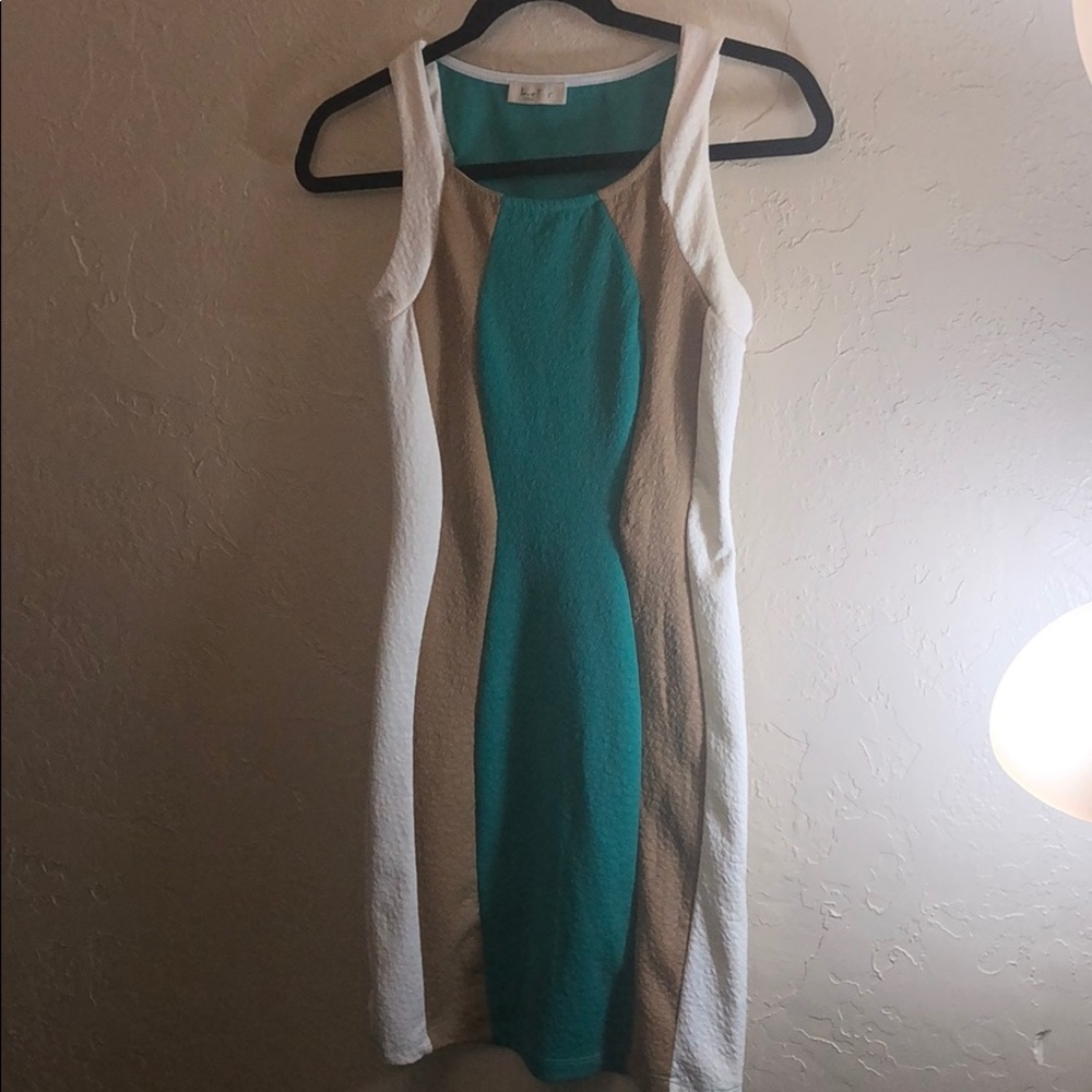 Multi Colored Fitted Dress